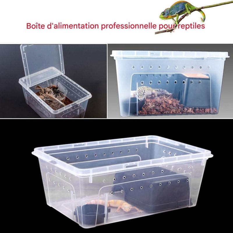 ZooVenture Boîte D'élevage Plastique Transparent Léger Pour Petits Animaux