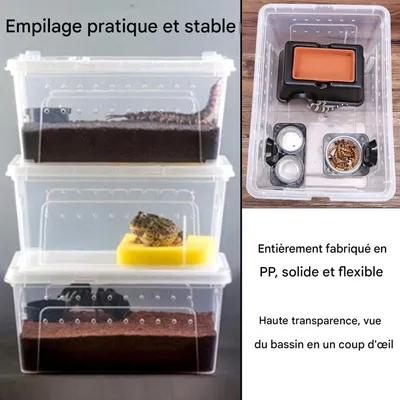 ZooVenture Boîte D'élevage Plastique Transparent Léger Pour Petits Animaux