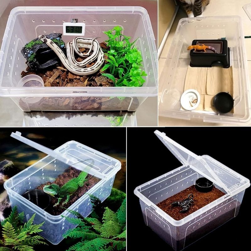 ZooVenture Boîte D'élevage Plastique Transparent Léger Pour Petits Animaux