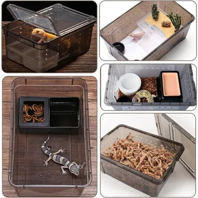 ZooVenture Boîte D'élevage Plastique Transparent Léger Pour Petits Animaux