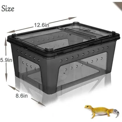 ZooVenture Boîte D'élevage Plastique Transparent Léger Pour Petits Animaux