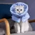 FurryFusion Collier anti-lèchage pour chat