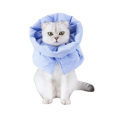 FurryFusion Collier anti-lèchage pour chat