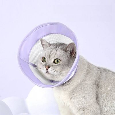 ZenPets Collier conique anti - léchage pour chat