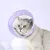 ZenPets Collier conique anti - léchage pour chat