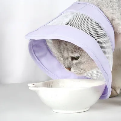 ZenPets Collier conique anti - léchage pour chat
