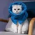 FurryFusion Collier anti-lèchage pour chat