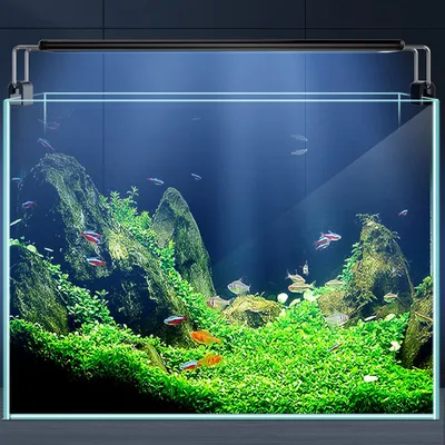 Lampe de cylindre à changement de couleur temporisé 220V