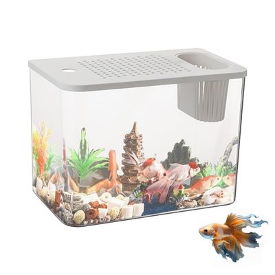 ZooVenture Aquarium de table pour poissons et tortues