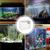 ZooVenture Aquarium de table pour poissons et tortues