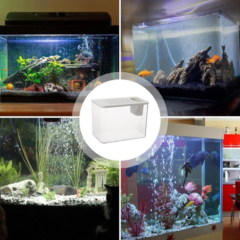 ZooVenture Aquarium de table pour poissons et tortues