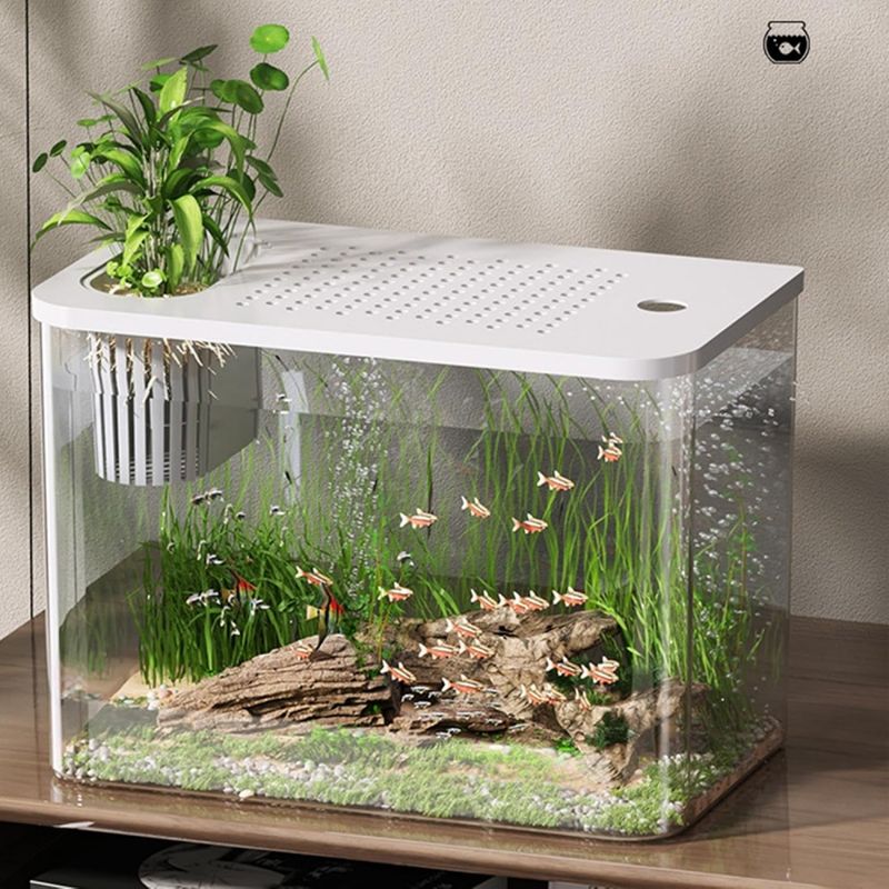 ZooVenture Aquarium de table pour poissons et tortues