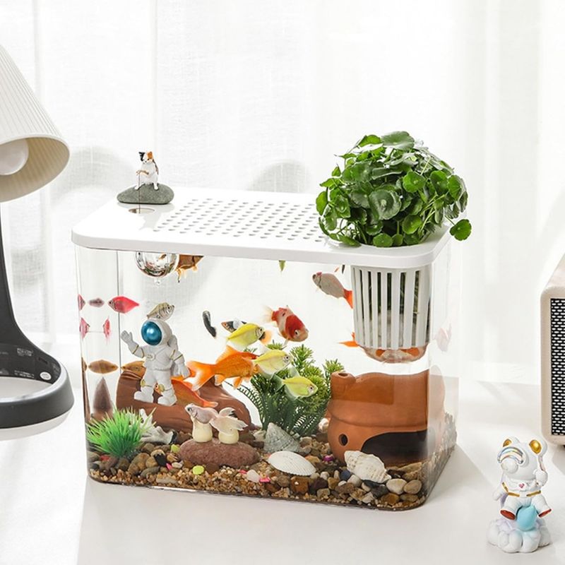 ZooVenture Aquarium de table pour poissons et tortues