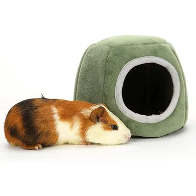 ZooVenture Nido pequeño para animales pequeños