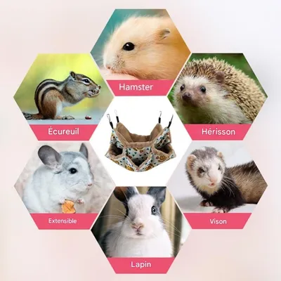 ZooVenture Hamac Double Couche Pour Petits Animaux