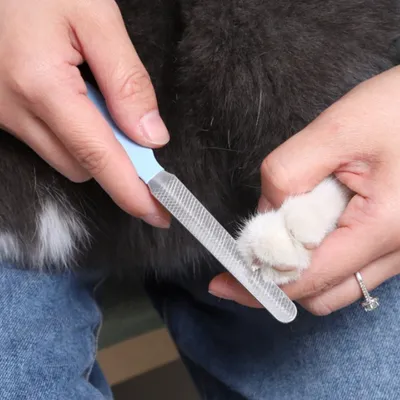 FurryFusion Coupe-griffes pour animaux de compagnie