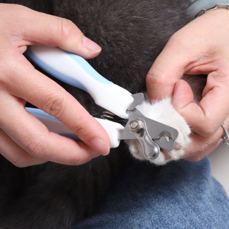 FurryFusion Coupe-griffes pour animaux de compagnie