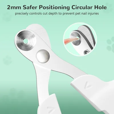 UAMLY Coupe-griffes pour chat, avec trou de positionnement sécurisé