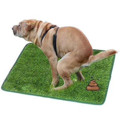 UAMLY Tapis de propreté en gazon synthétique pour chien