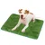 UAMLY Tapis d'urine en herbe pour chien