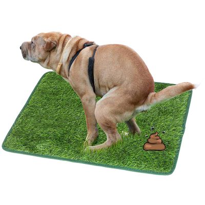 UAMLY Tapis d'urine en herbe pour chien