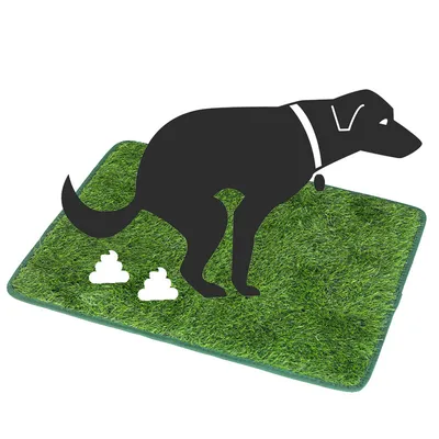 UAMLY Tapis d'urine en herbe pour chien