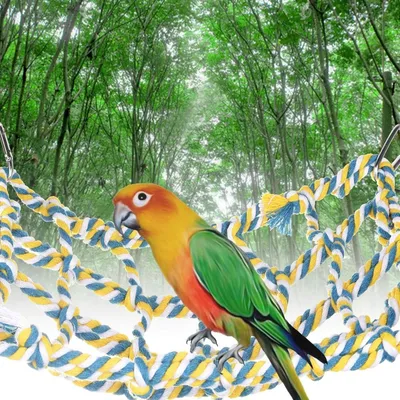 ZooVenture Filet de corde coloré