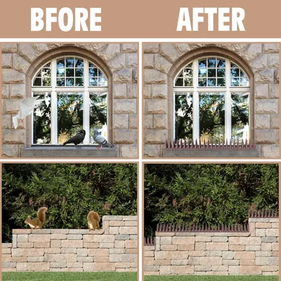 UAMLY Pointes anti-pigeons en plastique