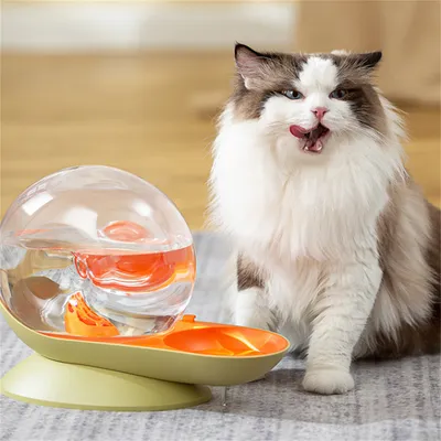 IntiMeg Fontaine à eau 2,8 L pour animaux de compagnie