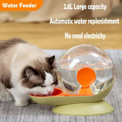IntiMeg Fontaine à eau 2,8 L pour animaux de compagnie