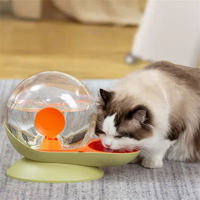 IntiMeg Fontaine à eau 2,8 L pour animaux de compagnie