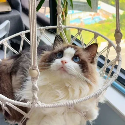 IntiMeg Hamac pour chat en macramé
