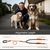IntiMeg Laisse de traction pour deux chiens