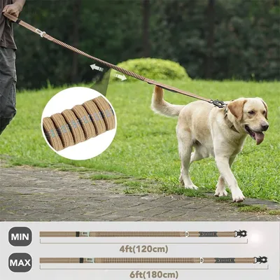 IntiMeg Correa extensible para perros con mosquetón