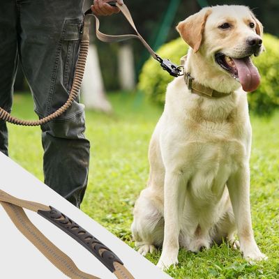 IntiMeg Laisse extensible pour chien avec clip grenouille
