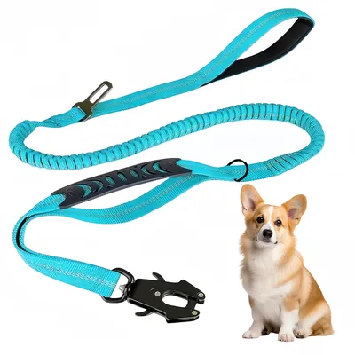IntiMeg Correa extensible para perros con mosquetón