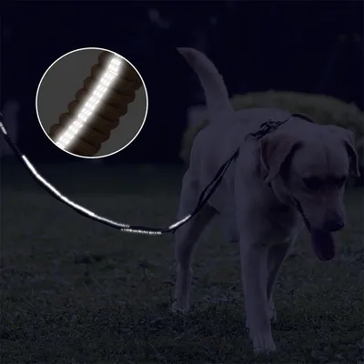 IntiMeg Laisse extensible pour chien avec clip grenouille