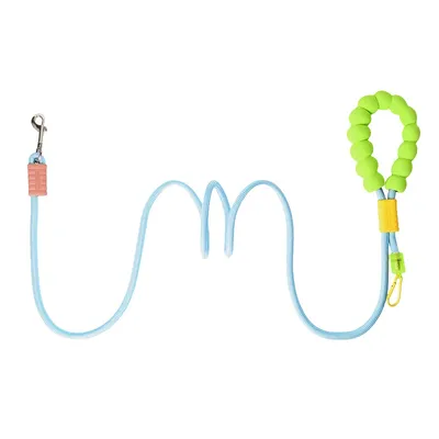 ZenPets Laisse de dressage pour chien de taille moyenne