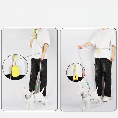 ZenPets Laisse de dressage pour chien de taille moyenne
