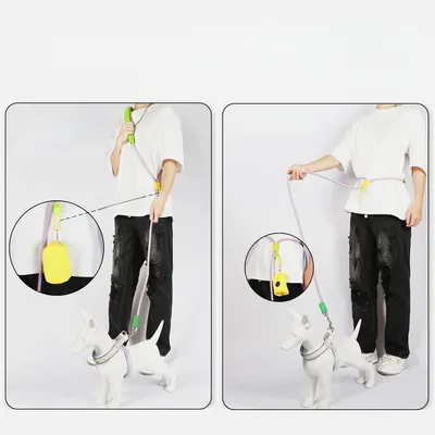 ZenPets Laisse de dressage pour chien de taille moyenne