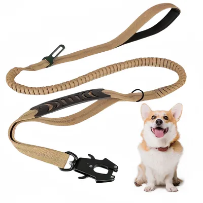 IntiMeg Correa extensible para perros con mosquetón