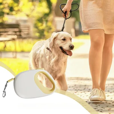 ZooVenture Ceinture rétractable pour chien