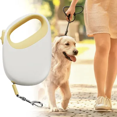 ZooVenture Ceinture rétractable pour chien