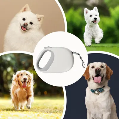 ZooVenture Ceinture rétractable pour chien