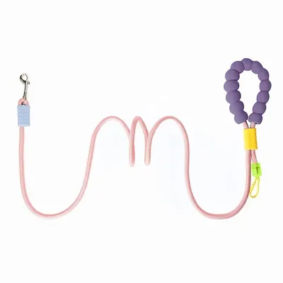 ZenPets Laisse de dressage pour chien de taille moyenne