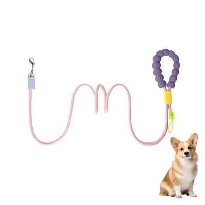 ZenPets Laisse de dressage pour chien de taille moyenne