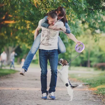 ZenPets Laisse rétractable pour chien