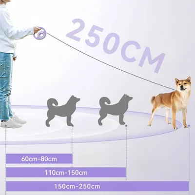 ZenPets Laisse rétractable pour chien