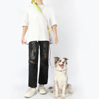 ZenPets Laisse de dressage pour chien de taille moyenne