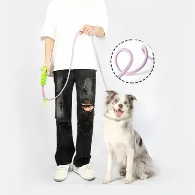 ZenPets Laisse de dressage pour chien de taille moyenne